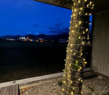 Dongshan Villa | Timeless Retreat at Turn Back the Clock Homestay