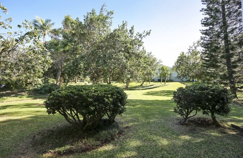 Kahuku Condo | Oceanfront Turtle Bay Primrose Condo with Pool & Kitchen