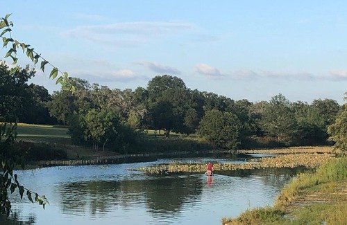 Kerrville Villa | Turtle Creek Vineyard —- aka Turtle Creek Olive Grove