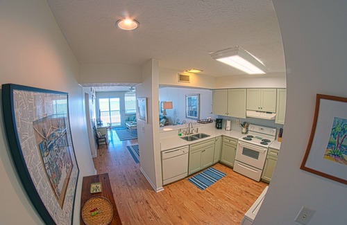 Ocean Cay Condo | Oceanfront Turtle Haven Amelia with Huge Balcony & Beach Access