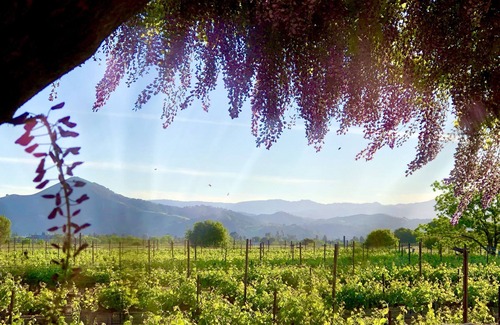 Morgan Hill Villa | Elegant Tuscan Villa Surrounded by Vineyards & Scenic Views