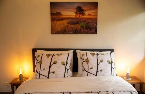 Meeuwen-Gruitrode Bed & Breakfast | Discover Tussen Heide en Bos: Pet-Friendly Retreat