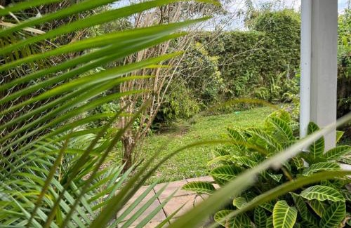 Forest Side Apartment | Tusti