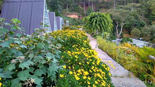 Da Lat Ski Chalet | Oceanfront Tuyết Hoa Hòn Bồ Homestay with Spa Retreat