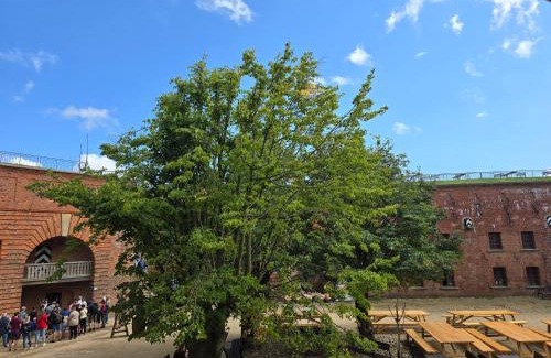 Srebrna Gora Hotel | Pet-Friendly Retreat at Twierdza Srebrna Góra Donżon