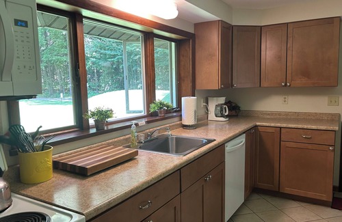 Honor Cabin | Explore Twin Birch Resort: Kodiak Cabin with Lake Access