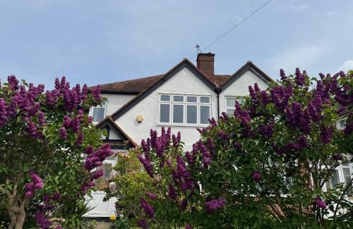 Alexandra House | Family-Friendly Twin Home with Free Parking in Kingston
