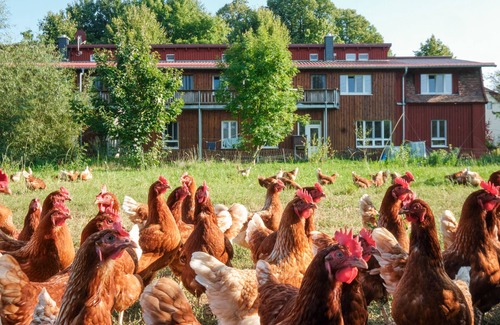 Schwerin Apartment | Oceanfront Twin Room 5 - Experience Farm Life & Views