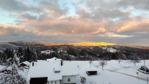Mitterfirmiansreut Apartment | Family-Friendly Two Apartments Almberg in Mitterdorf