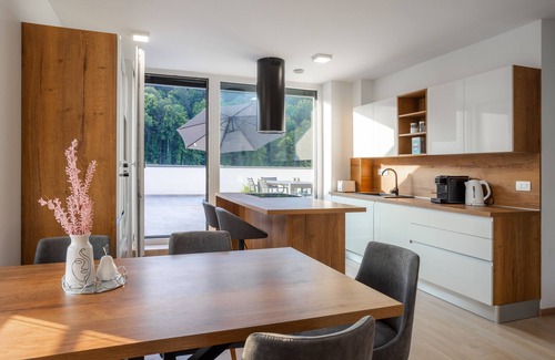 Podcetrtek Apartment | Two Bedroom Apartment with Terrace in Podčetrtek