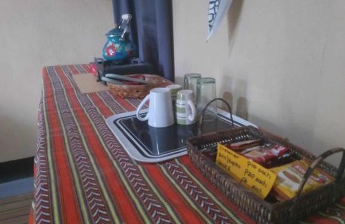 Daanbantayan Hotel | Delightful Stay at Two Crazy Monkeys - Pet Friendly & Pool