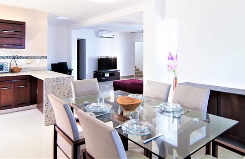 Villa Juarez Condo | Elegant Two-Floor Penthouse with Private Roof Garden