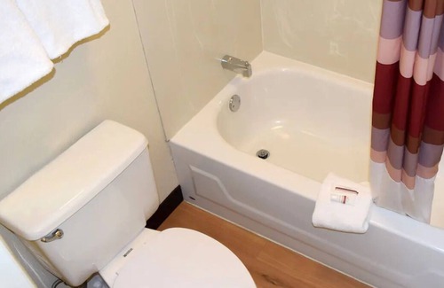 Bowmansville House | Two Spaces! Near Downtown Buffalo! w/ Free Parking, Pets are Allowed!