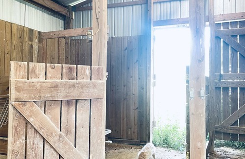 White House House | Pet-Friendly Escape: Two Barns on 2.5 Scenic Acres