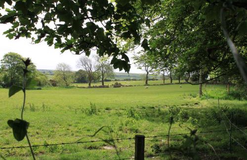 Haverfordwest Bed & Breakfast | Discover Ty Llwyd: 4-Star Stay with Family-Friendly Amenities