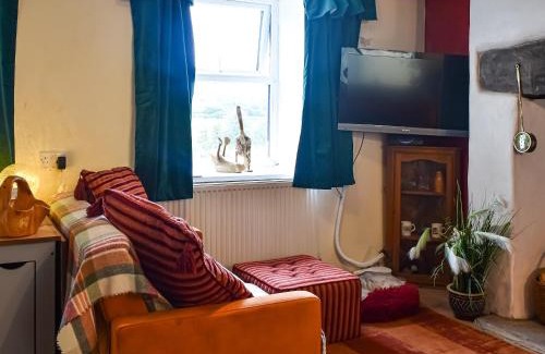 Llanllyfni House | Pet-Friendly Retreat at Ty Tarth for Family Adventures