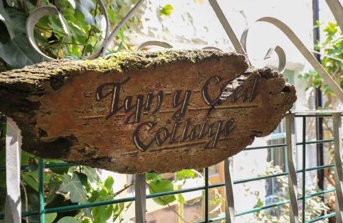 Barmouth House | Pet-Friendly Tyn Y Coed Cottage with High Guest Ratings
