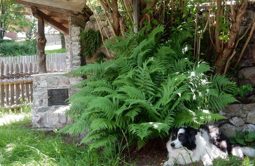 Sarentino Cabin | Inviting South Tyrolean Cottage with Garden & Pool Access