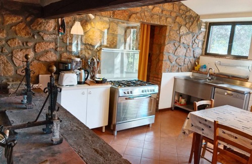 Orvieto Scalo House | Idyllic Winery's Countryhouse - 10min from Orvieto, Pet Friendly