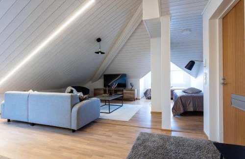 Downtown Kuopio Apartment | Unique Attic Apartment in City Center - Rated 9.5/10