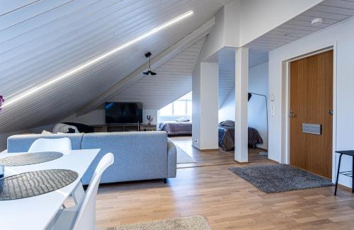 Downtown Kuopio Apartment | Unique Attic Apartment in City Center - Rated 9.5/10