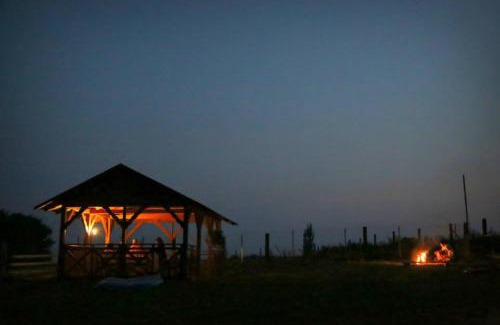 Bozkow Apartment | Nature Retreat at Agroturystyka u Asi - Perfect for Families!