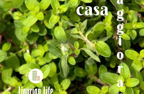 Vallebona Apartment | Discover U Ciousu: Family-Friendly Agriturismo Retreat