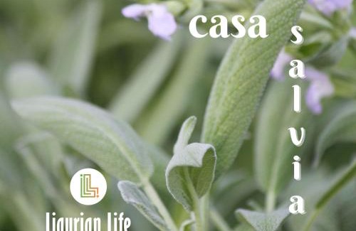 Vallebona Apartment | Discover U Ciousu: Family-Friendly Agriturismo Retreat