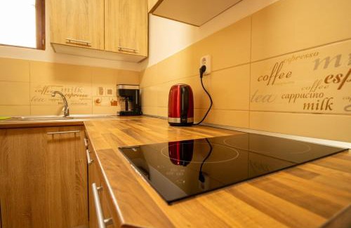 Loket Apartment | U Koníka