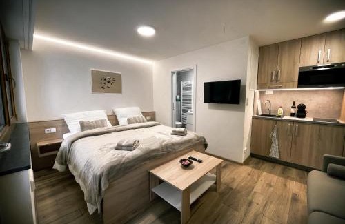 Dolni Morava Apartment | Accessible Convenience at U Králíka - Perfect for Families