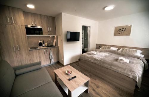 Dolni Morava Apartment | Accessible Convenience at U Králíka - Perfect for Families