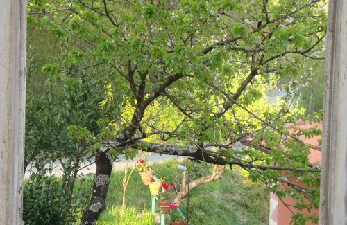 Varese Ligure Apartment | Pet-Friendly Stay at U MUIN da GATTEA in Varese Ligure