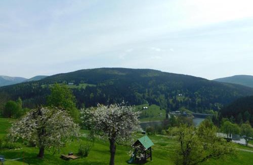 Spindleruv Mlyn House | Discover U Novotných: 9/10 Rated with Pool & Pet-Friendly
