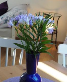 Knezeves Apartment | Discover U Václava: Top-Rated Hotel with Breakfast & Kitchen