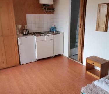 Janov Bed & Breakfast | Pet-Friendly U Vaclava with Breakfast and Hot Tub Access