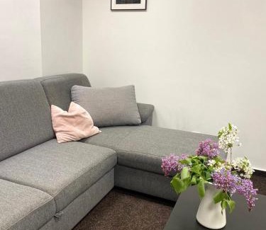 Olomouc Apartment | Comfortable Stay at Ubytování Šantovka - Family Friendly