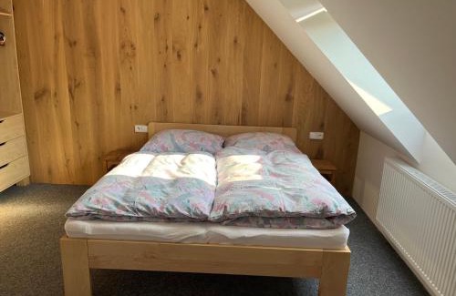 Chotevice Apartment | Discover Ubytování Chotěvice with Pool and Ocean Views
