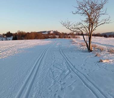 Jindrichovice Apartment | Discover Ubytování Háj: Pet-Friendly Stay, 8.9/10 Rated