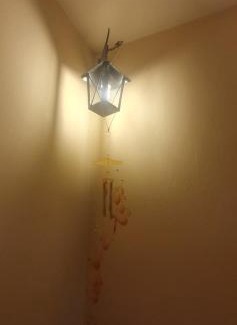 Lhotka Apartment | Pet-Friendly Retreat at Lhotka 22 Kopeček