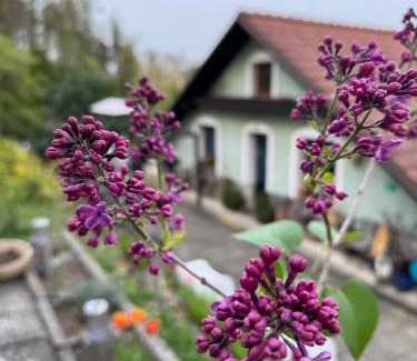 Luhacovice House | Cozy Retreat at Ubytování na Lesní - Pet and Child Friendly