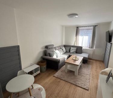 Velke Karlovice Apartment | Discover Ubytování pod Rozhlednou: Family & Pet Friendly Stay