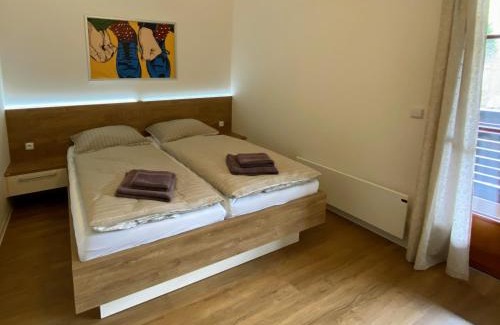 Velke Karlovice Apartment | Exceptional Stay at Ubytování Polanský Dvůr - Guest Rated 9.8