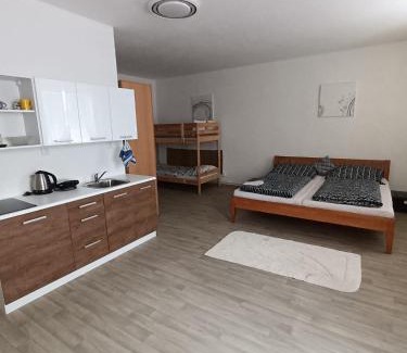Straz nad Nezarkou Apartment | Inviting Stay at Ubytování U Jeníka with Pool Access