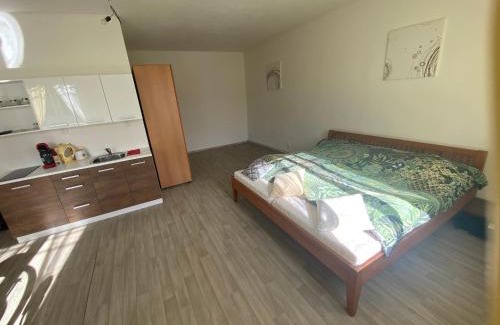 Straz nad Nezarkou Apartment | Inviting Stay at Ubytování U Jeníka with Pool Access