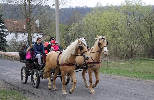 Bzany Other | Pet-Friendly Caravan Accommodation for Memorable Getaways