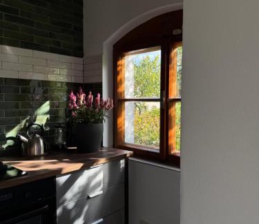 Velke Bilovice Apartment | Ubytování ve vinném sklepě - Velké Bílovice
