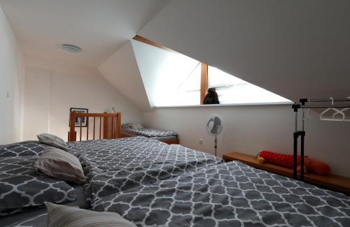 Sobotka Apartment | Pet-Friendly Vila Sobotka with Oceanfront Pool & Hot Tub