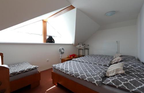 Sobotka Apartment | Pet-Friendly Vila Sobotka with Oceanfront Pool & Hot Tub