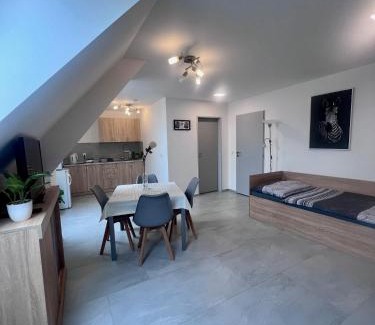 Olomouc Apartment | Discover Comfort at Ubytování Zátiší Olomouc - 9/10 Rated