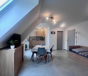 Olomouc Apartment | Discover Comfort at Ubytování Zátiší Olomouc - 9/10 Rated